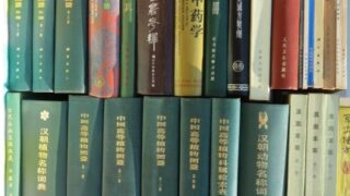 【買取】中文書（中国語で書かれた本）を入荷いたしました│書道本・書道用品・書道具を売るなら忠益軒チュウエキケンへ！