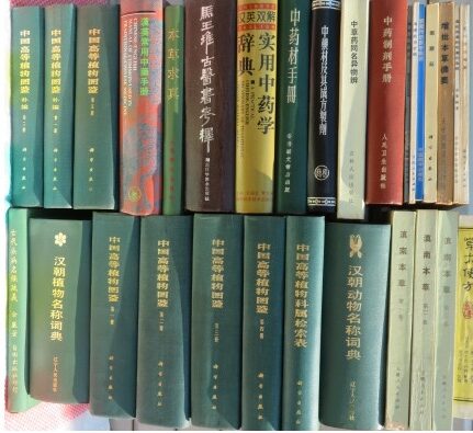 中文書,漢方,鍼灸,針灸,東洋医学